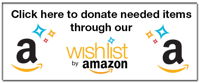 Amazon.Wish_.List_.Image_